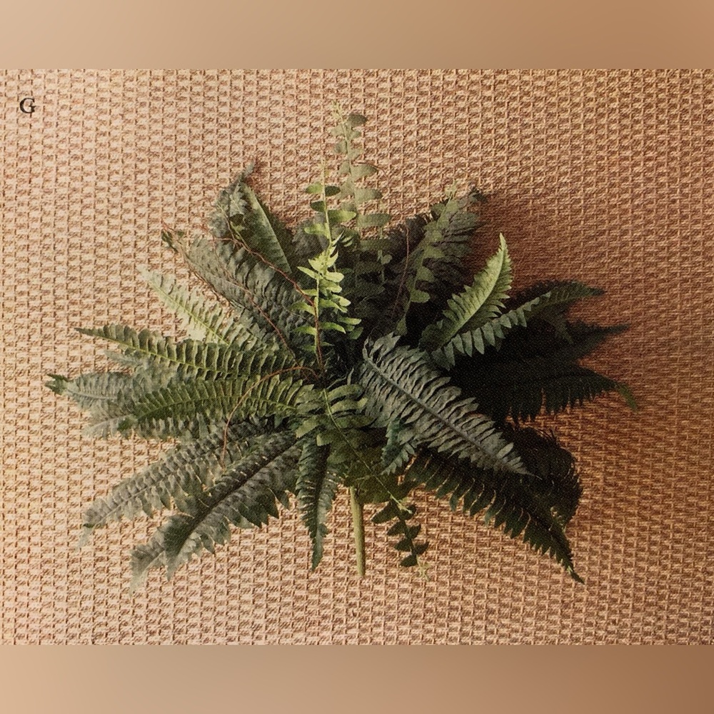 HOME INTERIORS Artificial Boston Fern Bush (Flower Decor) 23” NWOT